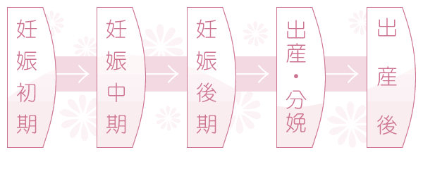 妊娠から出産までの流れ